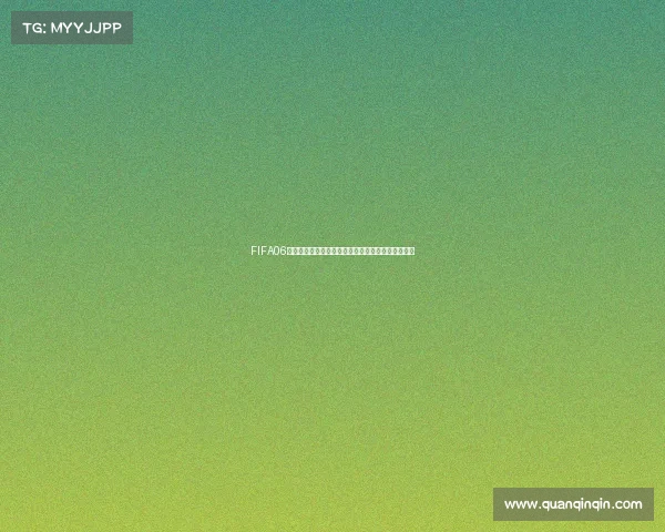FIFA06世界杯限定游戏经典重现绿茵赛场激情体验全新足球